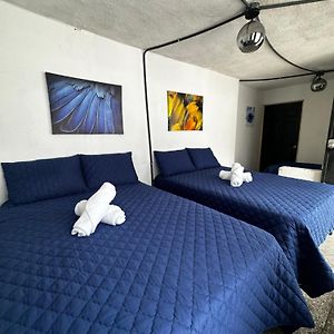 Chambre Familiale